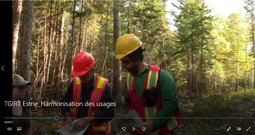Capsules d'information sur l’aménagement forestier en terre publique et le processus de consultation (TGIRT)